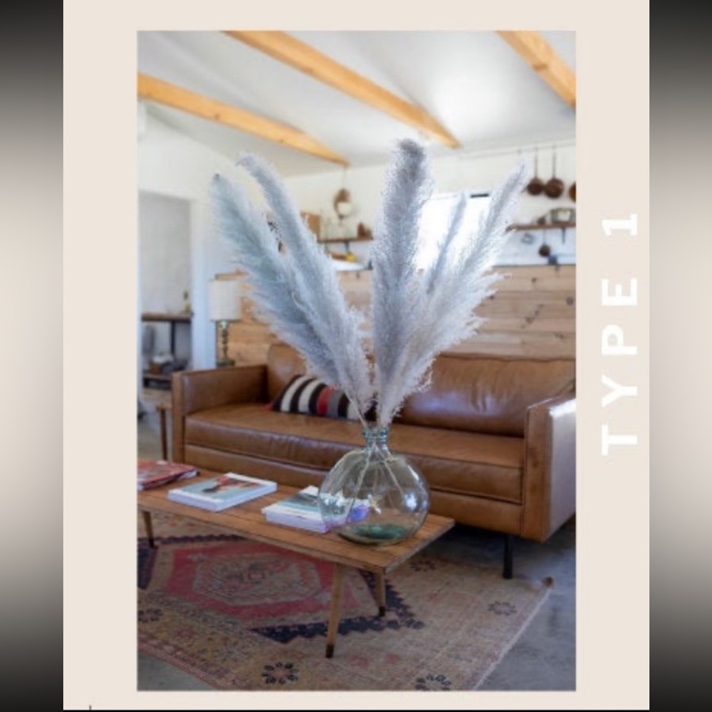 6 Stems Grey Pampas Grass